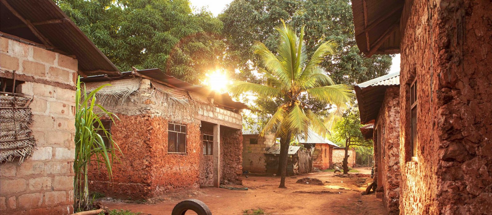 Development Economics Center header photo